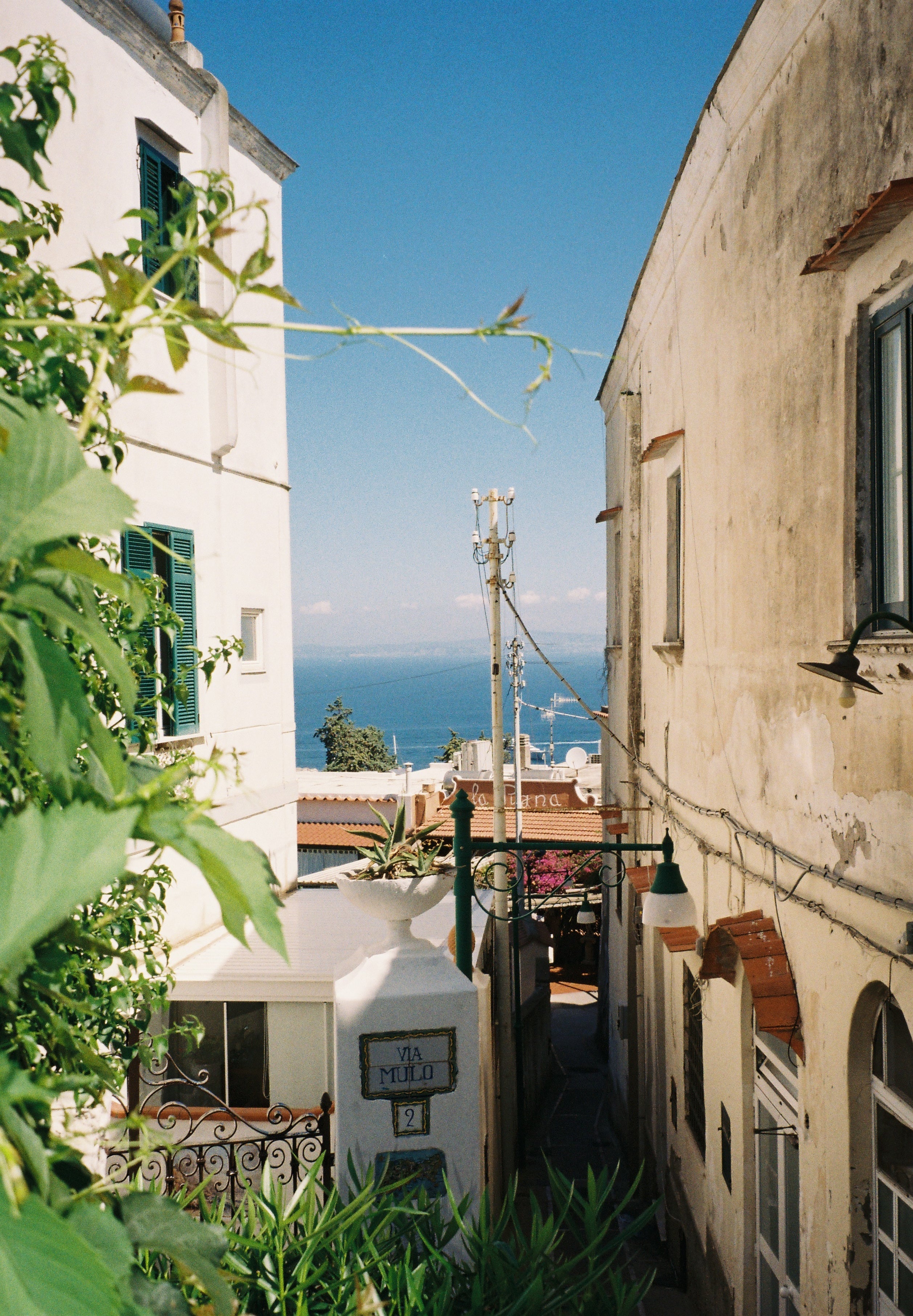 A narrow white alley on Via Mulo, Capri, framed by leaves, with a glimpse of the blue sea at the end